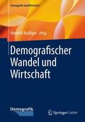 Budliger |  Demografischer Wandel und Wirtschaft | Buch |  Sack Fachmedien