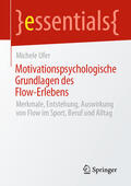 Ufer |  Motivationspsychologische Grundlagen des Flow-Erlebens | eBook | Sack Fachmedien
