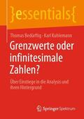 Kuhlemann / Bedürftig |  Grenzwerte oder infinitesimale Zahlen? | Buch |  Sack Fachmedien