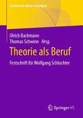 Bachmann / Schwinn |  Theorie als Beruf | Buch |  Sack Fachmedien