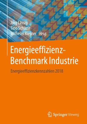Lässig / Schütte / Riesner | Energieeffizienz-Benchmark Industrie | Buch | 978-3-658-32408-7 | sack.de