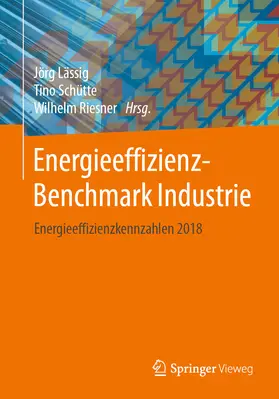 Lässig / Schütte / Riesner |  Energieeffizienz-Benchmark Industrie | eBook | Sack Fachmedien