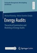 Krutwig / Dumitru Tan?au |  Energy Audits | eBook | Sack Fachmedien