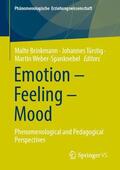 Brinkmann / Weber-Spanknebel / Türstig |  Emotion ¿ Feeling ¿ Mood | Buch |  Sack Fachmedien