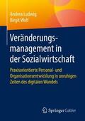 Ludwig / Wolf |  Veränderungsmanagement in der Sozialwirtschaft | Buch |  Sack Fachmedien
