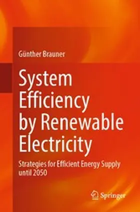 Brauner | System Efficiency by Renewable Electricity | E-Book | www.sack.de