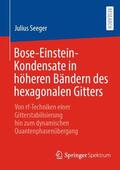 Seeger |  Bose-Einstein-Kondensate in höheren Bändern des hexagonalen Gitters | Buch |  Sack Fachmedien