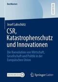Labschütz |  CSR, Katastrophenschutz und Innovationen | Buch |  Sack Fachmedien