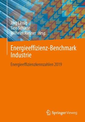 Lässig / Schütte / Riesner | Energieeffizienz-Benchmark Industrie | Buch | 978-3-658-36096-2 | sack.de
