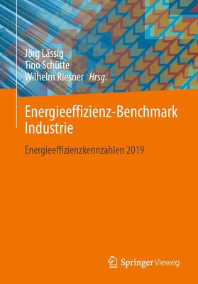Lässig / Schütte / Riesner | Energieeffizienz-Benchmark Industrie | E-Book | sack.de