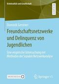 Gerstner |  Freundschaftsnetzwerke und Delinquenz von Jugendlichen | Buch |  Sack Fachmedien