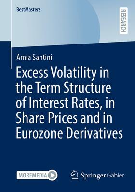 Santini | Excess Volatility in the Term Structure of Interest Rates, in Share Prices and in Eurozone Derivatives | E-Book | sack.de