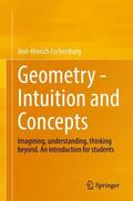 Eschenburg |  Geometry -  Intuition and Concepts | Buch |  Sack Fachmedien