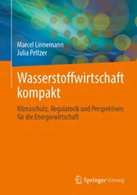 Linnemann / Peltzer |  Wasserstoffwirtschaft kompakt | eBook | Sack Fachmedien