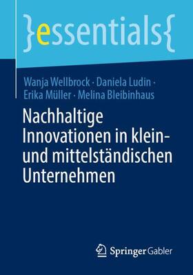 Wellbrock / Bleibinhaus / Ludin |  Nachhaltige Innovationen in klein- und mittelständischen Unternehmen | Buch |  Sack Fachmedien