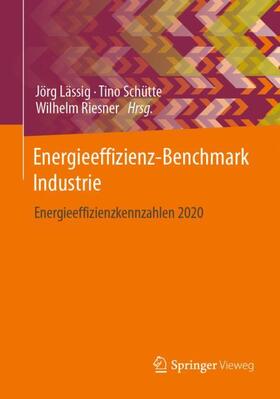 Lässig / Riesner / Schütte | Energieeffizienz-Benchmark Industrie | Buch | 978-3-658-39691-6 | sack.de