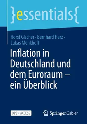 Gischer / Menkhoff / Herz |  Inflation in Deutschland und dem Euroraum - ein Überblick | Buch |  Sack Fachmedien