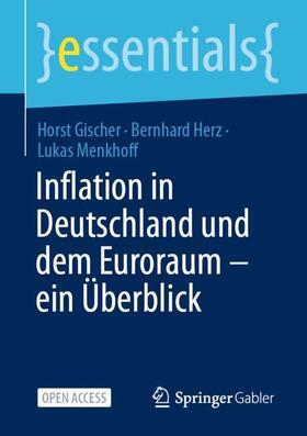 Gischer / Menkhoff / Herz | Inflation in Deutschland und dem Euroraum ¿ ein Überblick | Buch | 978-3-658-40700-1 | sack.de