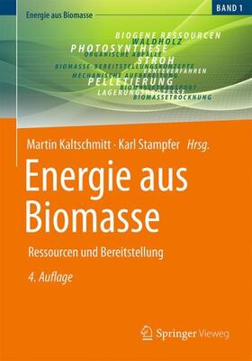 Stampfer / Kaltschmitt |  Energie aus Biomasse | Buch |  Sack Fachmedien