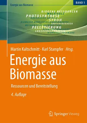 Stampfer / Kaltschmitt |  Energie aus Biomasse | Buch |  Sack Fachmedien