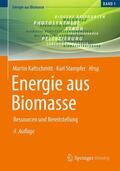 Stampfer / Kaltschmitt |  Energie aus Biomasse | Buch |  Sack Fachmedien