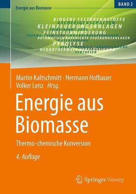 Kaltschmitt / Hofbauer / Lenz | Energie aus Biomasse | Buch | 978-3-658-41215-9 | sack.de