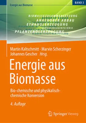 Kaltschmitt / Scherzinger / Gescher |  Energie aus Biomasse | eBook | Sack Fachmedien