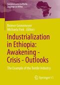 Fink / Gronemeyer |  Industrialization in Ethiopia: Awakening - Crisis - Outlooks | Buch |  Sack Fachmedien