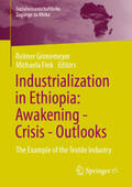 Gronemeyer / Fink |  Industrialization in Ethiopia: Awakening - Crisis - Outlooks | eBook | Sack Fachmedien
