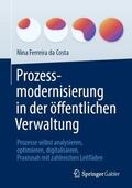 Ferreira da Costa |  Prozessmodernisierung in der öffentlichen Verwaltung | Buch |  Sack Fachmedien