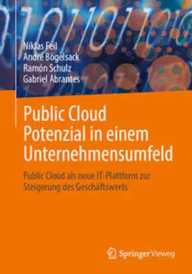 Feil / Bögelsack / Schulz |  Public Cloud Potenzial in einem Unternehmensumfeld | eBook | Sack Fachmedien