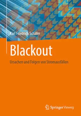 Schäfer | Blackout | Buch | 978-3-658-43331-4 | www.sack.de