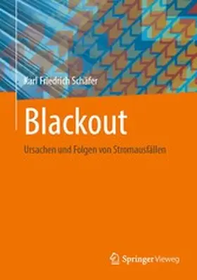 Schäfer |  Blackout | eBook | Sack Fachmedien