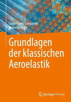 Campanile / Righi |  Grundlagen der klassischen Aeroelastik | Buch |  Sack Fachmedien
