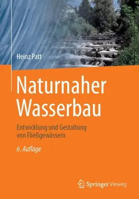 Patt | Naturnaher Wasserbau | Buch | 978-3-658-43845-6 | sack.de
