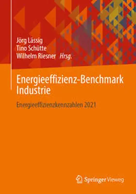 Lässig / Riesner / Schütte |  Energieeffizienz-Benchmark Industrie | Buch |  Sack Fachmedien