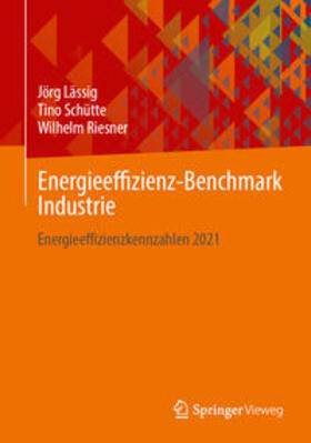 Lässig / Schütte / Riesner | Energieeffizienz-Benchmark Industrie | Buch | 978-3-658-44436-5 | sack.de