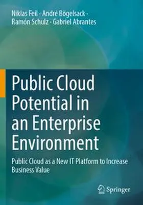 Feil / Bögelsack / Schulz | Public Cloud Potential in an Enterprise Environment | Buch | 978-3-658-44493-8 | www.sack.de