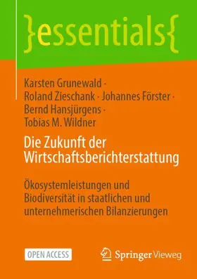 Grunewald / Zieschank / Wildner |  Die Zukunft der Wirtschaftsberichterstattung | Buch |  Sack Fachmedien