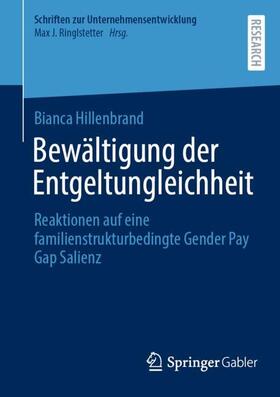 Hillenbrand | Bewältigung der Entgeltungleichheit | Buch | 978-3-658-44755-7 | sack.de