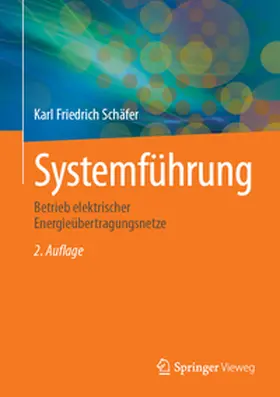 Schäfer |  Systemführung | Buch |  Sack Fachmedien