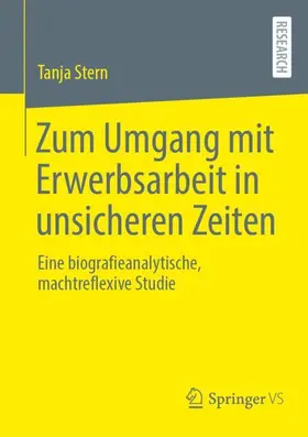 Stern |  Zum Umgang mit Erwerbsarbeit in unsicheren Zeiten | Buch |  Sack Fachmedien