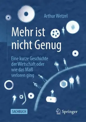 Wetzel |  Mehr ist nicht Genug | Buch |  Sack Fachmedien