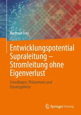 Frey |  Entwicklungspotential Supraleitung - Stromleitung ohne Eigenverlust | Buch |  Sack Fachmedien