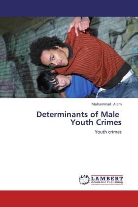 Alam |  Determinants of Male Youth Crimes | Buch |  Sack Fachmedien