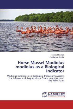 Kumar / Stella |  Horse Mussel Modiolus modiolus as a   Biological Indicator | Buch |  Sack Fachmedien