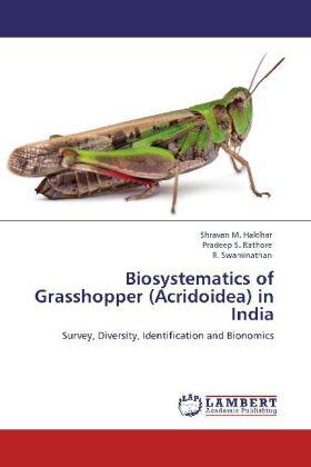 Haldhar / Rathore / Swaminathan |  Biosystematics of Grasshopper (Acridoidea) in India | Buch |  Sack Fachmedien
