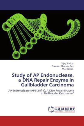 Shukla / Chandra Das / Raman |  Study of AP Endonuclease, a DNA Repair Enzyme in Gallbladder Carcinoma | Buch |  Sack Fachmedien