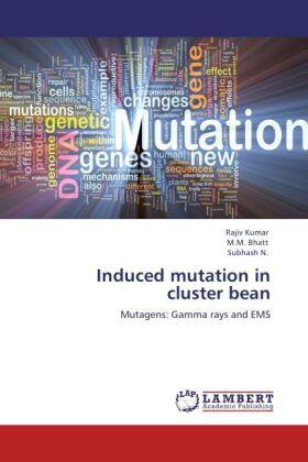 Kumar / Bhatt / N. |  Induced mutation in  cluster bean | Buch |  Sack Fachmedien