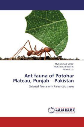 Umair / Naeem / Zia |  Ant fauna of Potohar Plateau, Punjab - Pakistan | Buch |  Sack Fachmedien